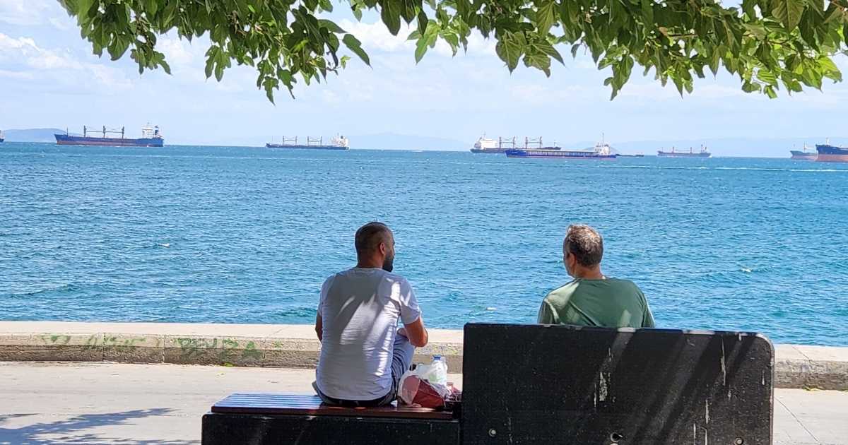 FCL mi LCL mi? Doğru Konteyner Seçimi